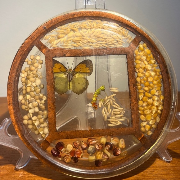 Vintage Round Lucite Acrylic Resin Trivet Hot Plate W/ Seeds, Butterfly & Flower - Picture 2 of 9